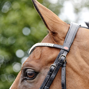 JOHN WHIATEKR LYNTON SNAFFLE BRIDLE WITH 2 BROWBANDS