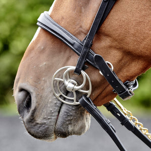 JOHN WHIATEKR LYNTON SNAFFLE BRIDLE WITH 2 BROWBANDS