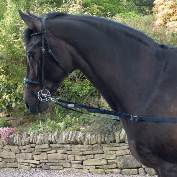 JOHN WHITAKER ELASTICATED SIDE REIN