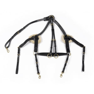 JOHN WHITAKER VALENCIA 5 POINT BREASTPLATE