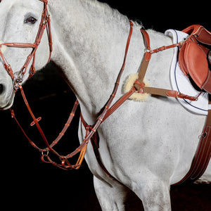 JOHN WHITAKER VALENCIA 5 POINT BREASTPLATE