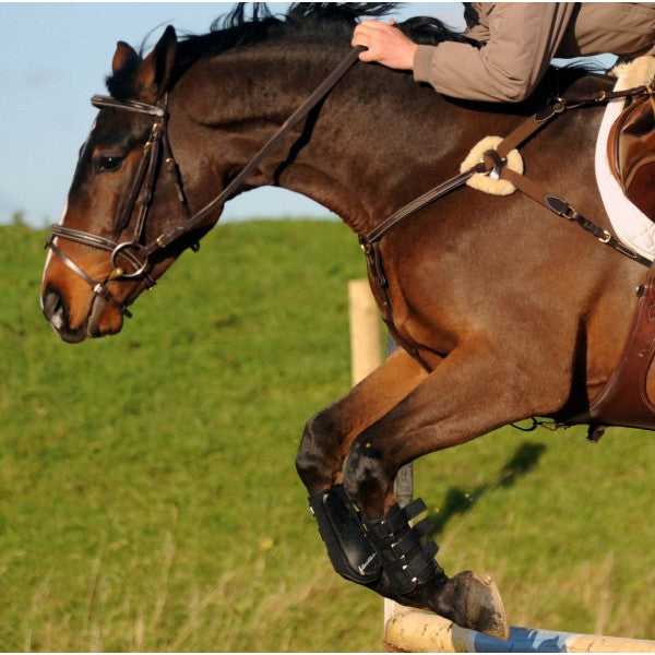 JOHN WHITAKER VALENCIA 5 POINT BREASTPLATE