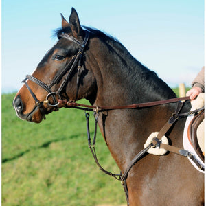 JOHN WHITAKER VALENCIA 5 POINT BREASTPLATE