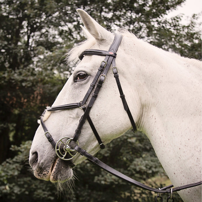 JOHN WHITAKER EASTWOOD MEXICAN BRIDLE WITH REINS