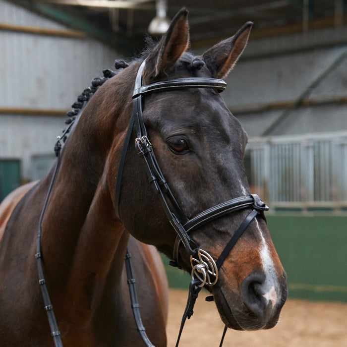 JOHN WHITAKER EASTWOOD RAISED FLASH BRIDLE WITH REINS
