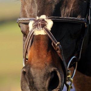 JOHN WHITAKER VALENCIA SUPER DELUXE MEXICAN BRIDLE WITH REINS