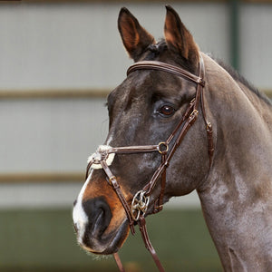JOHN WHITAKER VALENCIA SUPER DELUXE MEXICAN BRIDLE WITH REINS