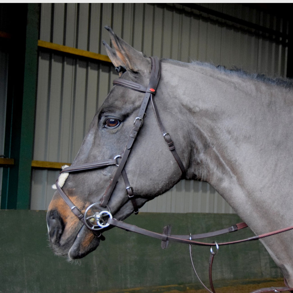 JOHN WHITAKER READY TO RIDE MEXICAN BRIDLE