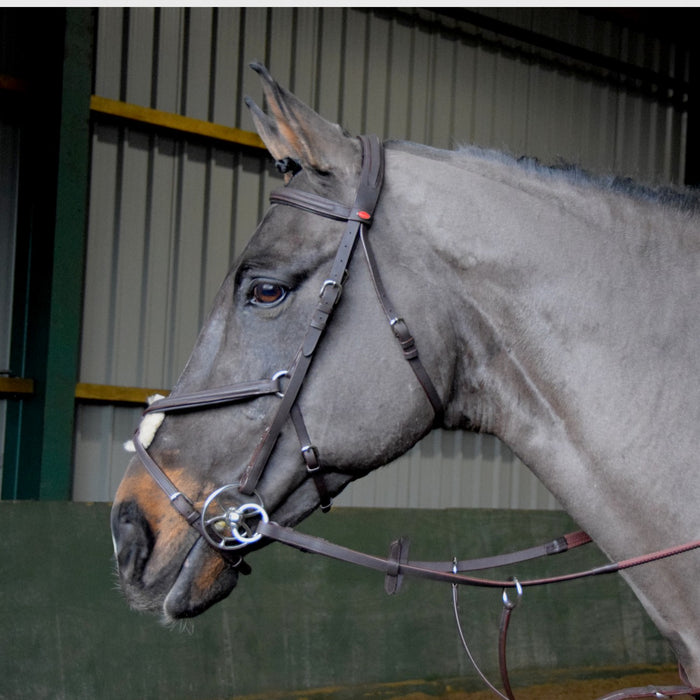 JOHN WHITAKER READY TO RIDE MEXICAN BRIDLE