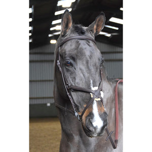 JOHN WHITAKER READY TO RIDE MEXICAN BRIDLE