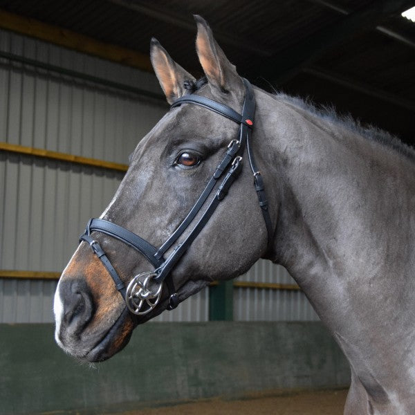 JOHN WHITAKER READY TO RIDE SNAFFLE BRIDLE