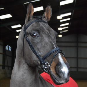 JOHN WHITAKER READY TO RIDE SNAFFLE BRIDLE