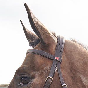 JOHN WHITAKER READY TO RIDE SNAFFLE BRIDLE