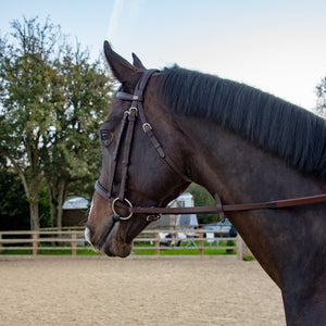 JOHN WHITAKER READY TO RIDE SNAFFLE BRIDLE