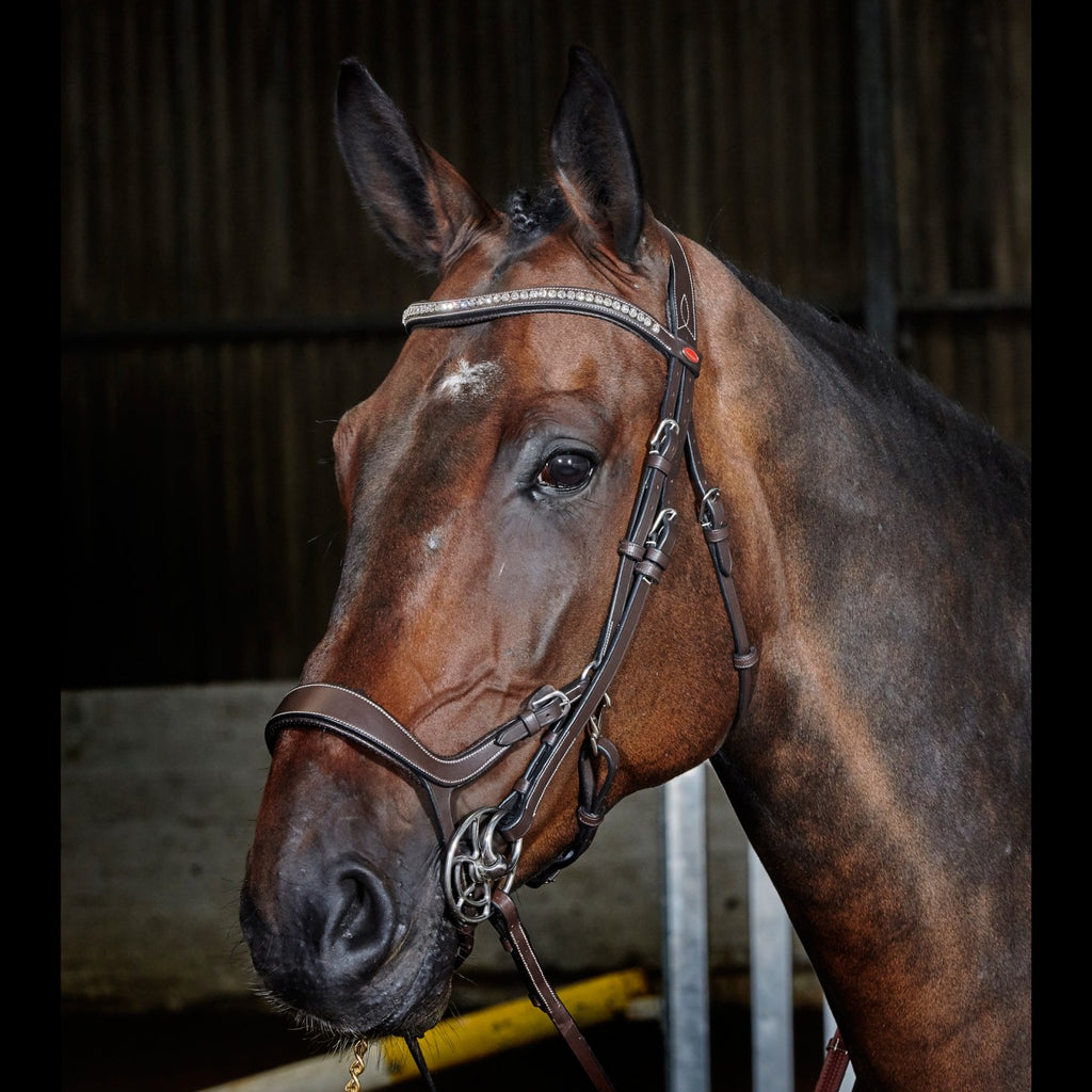 JOHN WHITAKER CHICAGO ANATOMIC BREATHABLE BRIDLE WITH REINS
