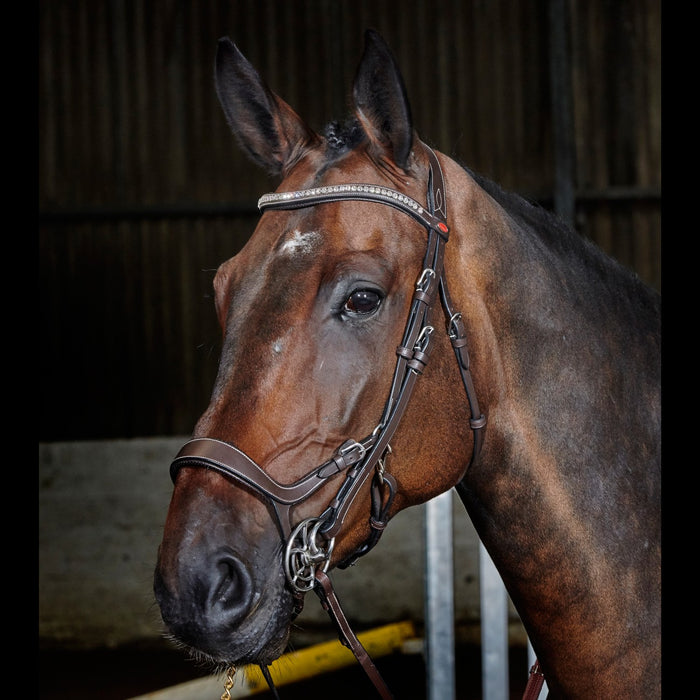JOHN WHITAKER CHICAGO ANATOMIC BREATHABLE BRIDLE WITH REINS