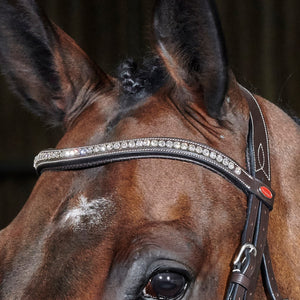 JOHN WHITAKER CHICAGO ANATOMIC BREATHABLE BRIDLE WITH REINS