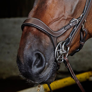 JOHN WHITAKER CHICAGO ANATOMIC BREATHABLE BRIDLE WITH REINS