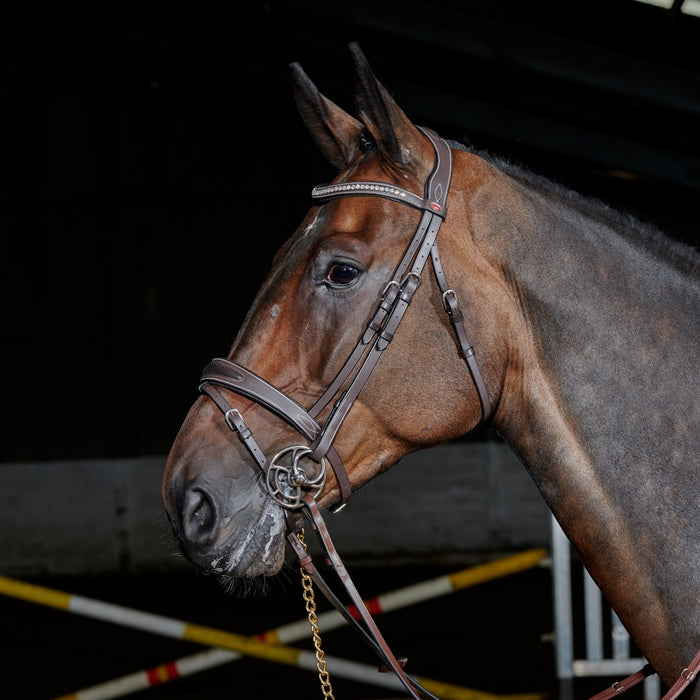 JOHN WHITAKER CHICAGO BREATHABLE LEATHER BRIDLE WITH BLING BROWBAND & REINS