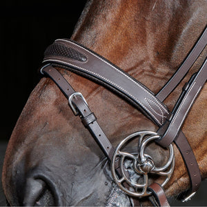 JOHN WHITAKER CHICAGO BREATHABLE LEATHER BRIDLE WITH BLING BROWBAND & REINS