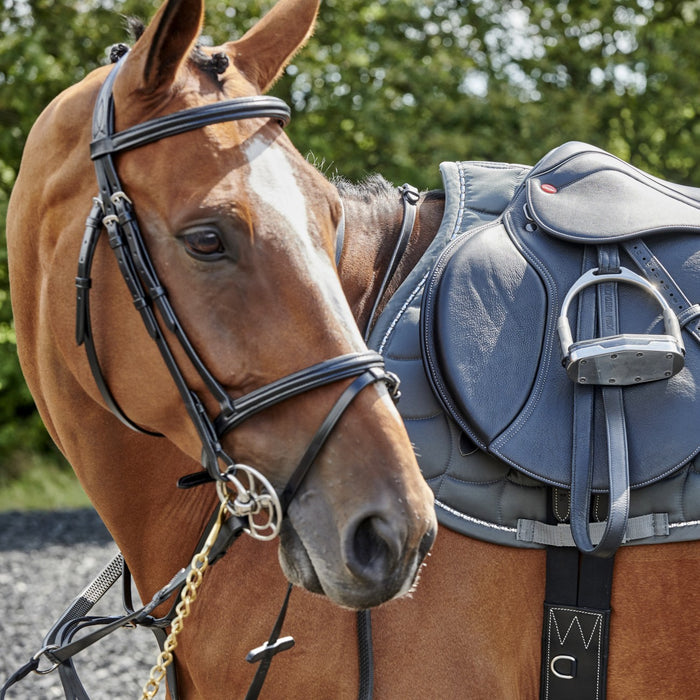 JOHN WHITAKER BARTON RAISED FLASH BRIDLE (INC RUBBER REINS)