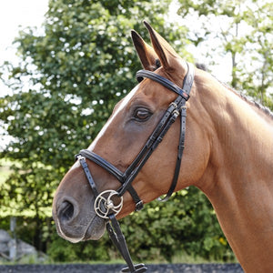 JOHN WHITAKER BARTON RAISED FLASH BRIDLE (INC RUBBER REINS)