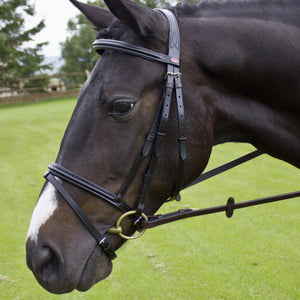 JOHN WHITAKER BARTON RAISED FLASH BRIDLE (INC RUBBER REINS)