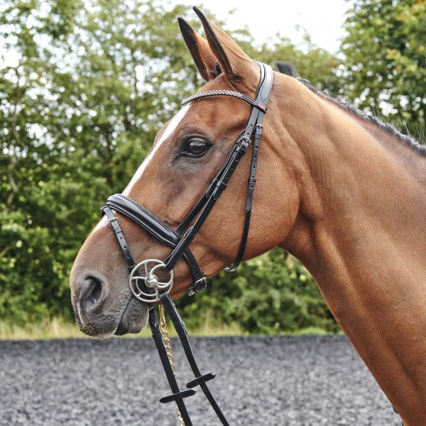 JOHN WHITAKER BARTON BLING FLASH BRIDLE (INC RUBBER REINS)