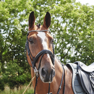 JOHN WHITAKER BARTON BLING FLASH BRIDLE (INC RUBBER REINS)