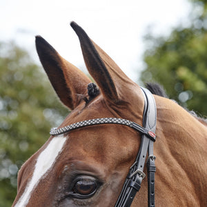 JOHN WHITAKER BARTON BLING FLASH BRIDLE (INC RUBBER REINS)