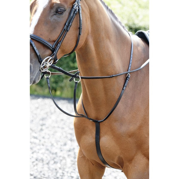 JOHN WHITAKER BARTON MARTINGALE