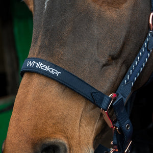 JOHN WHITAKER BRADSHAW HEADCOLLAR WITH ROSE GOLD COLOUR FITTINGS