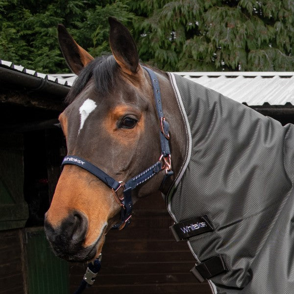 JOHN WHITAKER BRADSHAW HEADCOLLAR WITH ROSE GOLD COLOUR FITTINGS