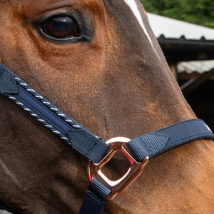 JOHN WHITAKER BRADSHAW HEADCOLLAR WITH ROSE GOLD COLOUR FITTINGS
