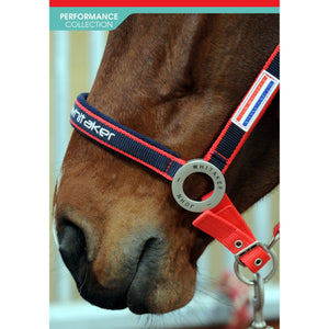 JOHN WHITAKER PADDED HEADCOLLAR
