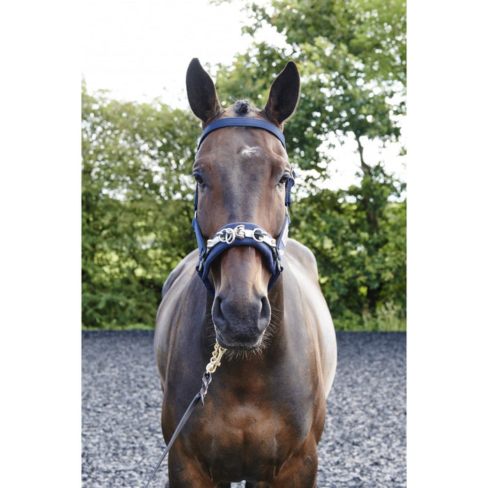 JOHN WHITAKER LUNGE CAVESSON