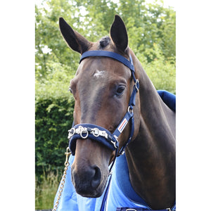 JOHN WHITAKER LUNGE CAVESSON