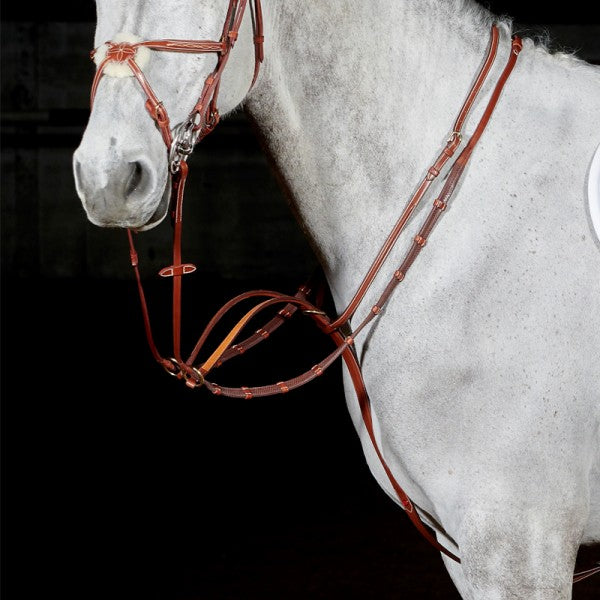 JOHN WHITAKER VALENCIA LUXURY MARTINGALE