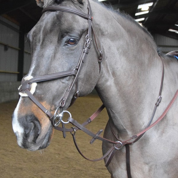 JOHN WHITAKER READY TO RIDE MARTINGALE