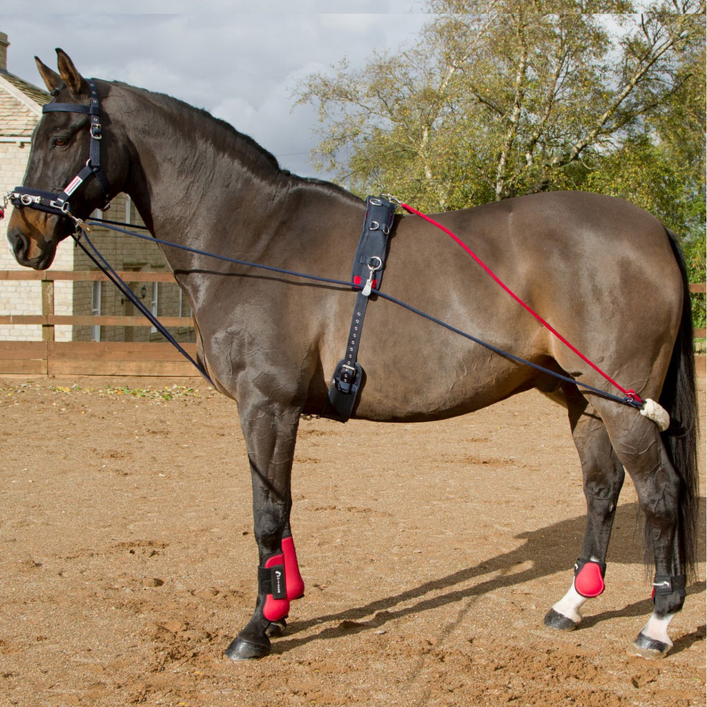 JOHN WHITAKER TRAINING SYSTEM