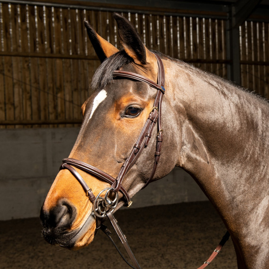 JOHN WHITAKER VALENCIA SUPER DELUXE FLASH BRIDLE WITH REINS