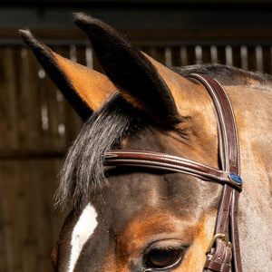 JOHN WHITAKER VALENCIA SUPER DELUXE FLASH BRIDLE WITH REINS