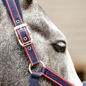 JOHN WHITAKER AIRFLOW HEAD COLLAR WITH LEADROPE SET