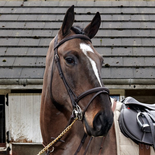 JOHN WHITAKER READY TO RIDE LEATHER FLASH BRIDLE