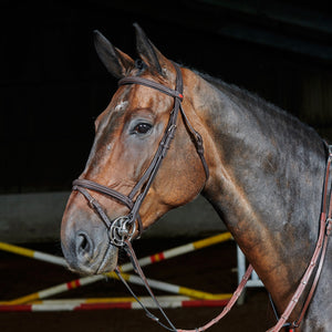 JOHN WHITAKER READY TO RIDE LEATHER FLASH BRIDLE