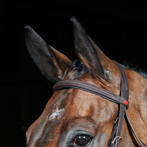 JOHN WHITAKER READY TO RIDE LEATHER FLASH BRIDLE
