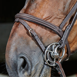 JOHN WHITAKER READY TO RIDE LEATHER FLASH BRIDLE