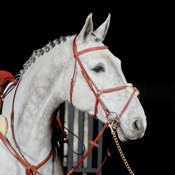 JOHN WHITAKER VALENCIA SUPER DELUXE MEXICAN BRIDLE WITH REINS