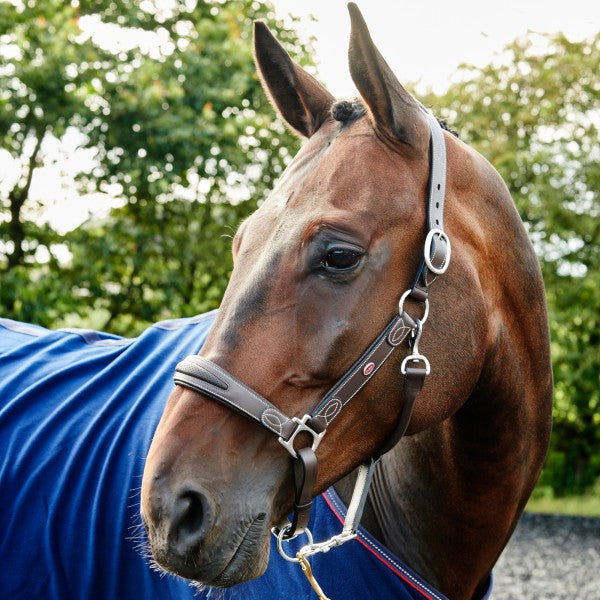 JOHN WHITAKER CHICAGO PERFORATED LEATHER HEADCOLLAR