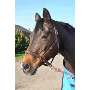 JOHN WHITAKER READY TO RIDE HEADCOLLAR